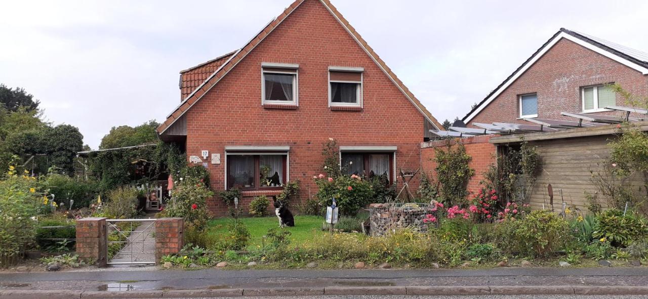 Ferienwohnung-Wildblume Petersdorf auf Fehmarn Eksteriør billede